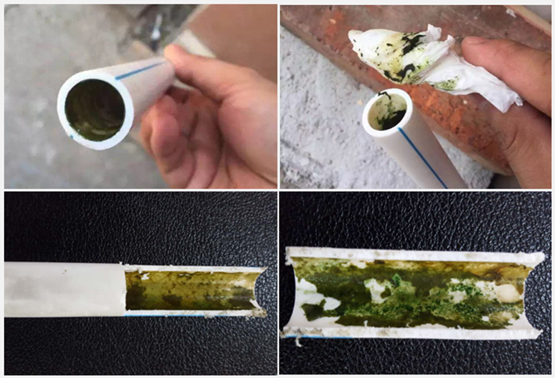 水管香蕉视频污污下载直飲更健康16.png